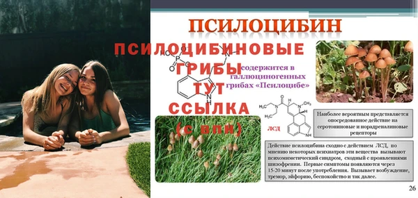 а пвп мука Верхнеуральск