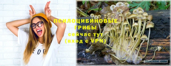 мет Верея